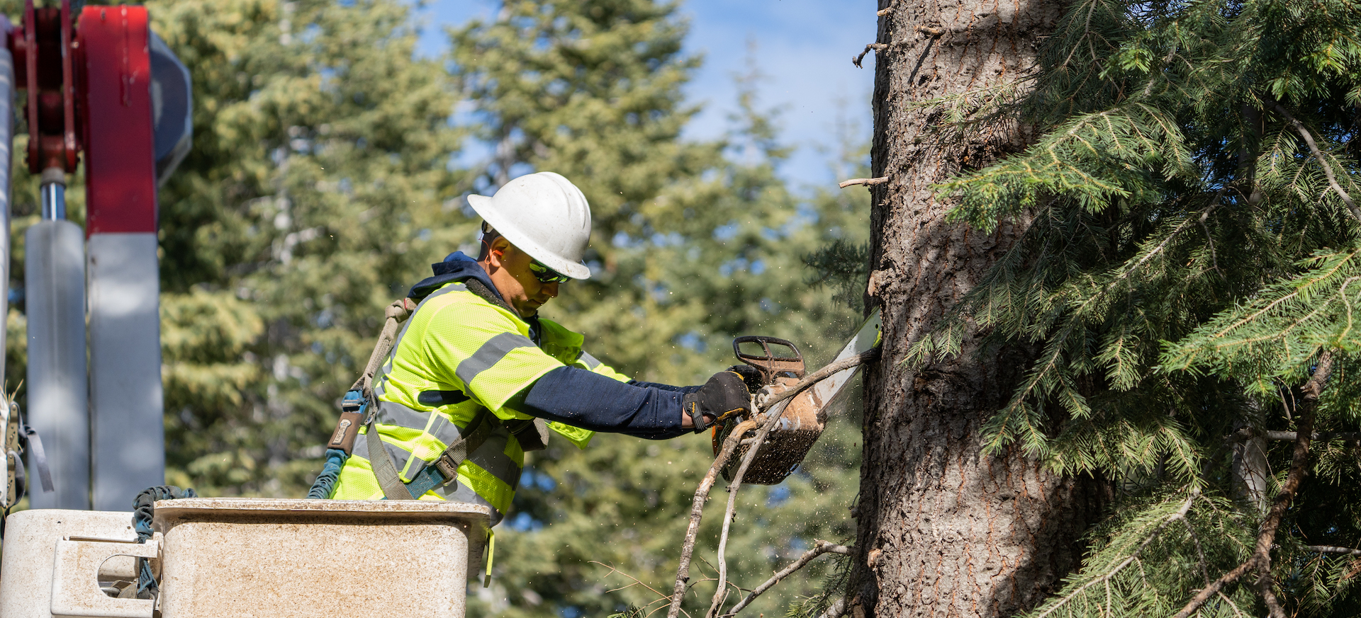 Lineman Wildfire Prevention Chainsaw