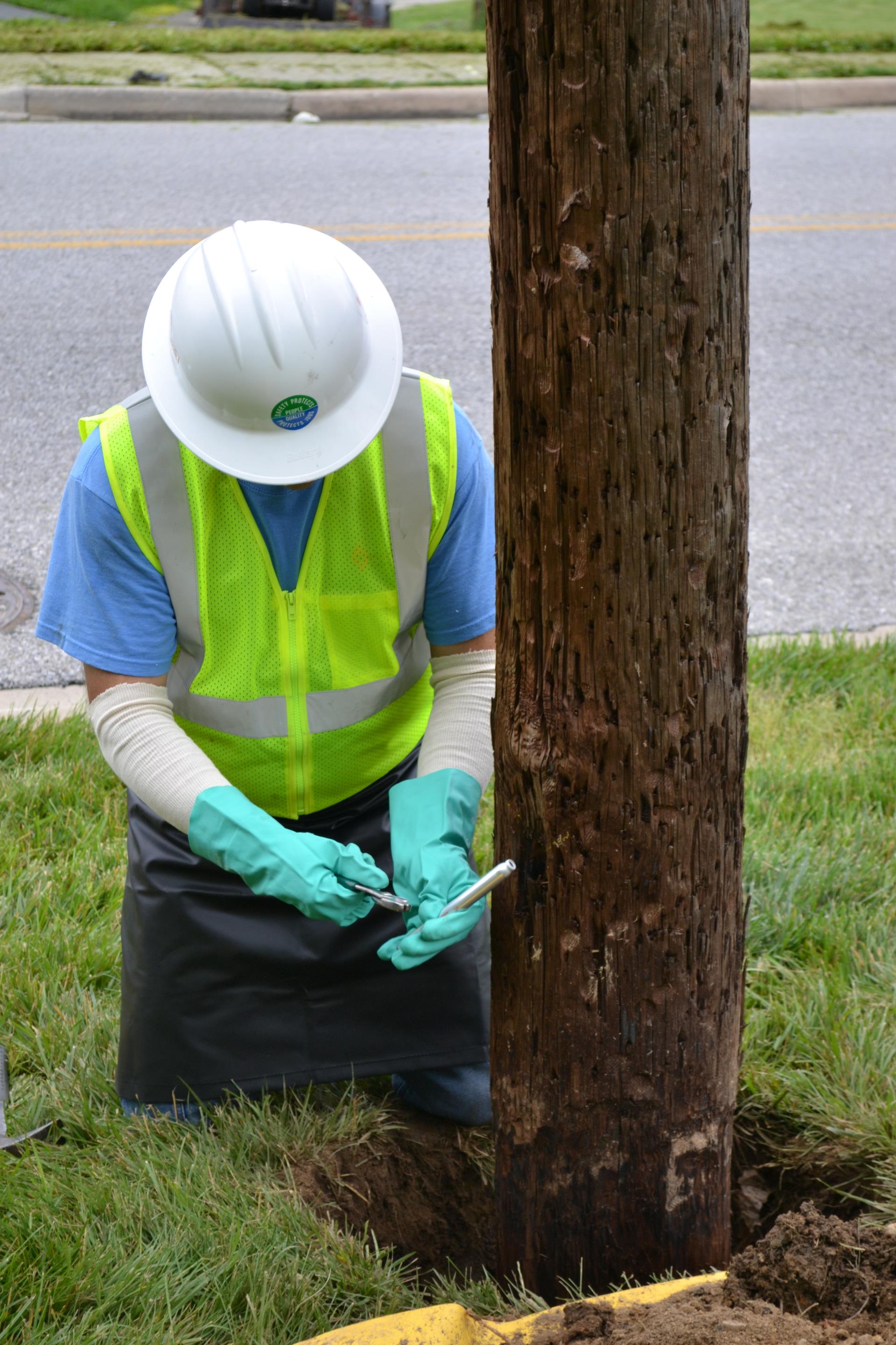 During pole testing, worker treats the inside of a pole to strengthen it