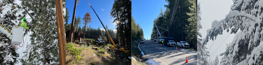 Photos of vegetation removal work being done