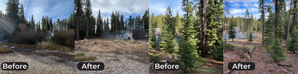 Before and After photos of vegetation management work at a substation